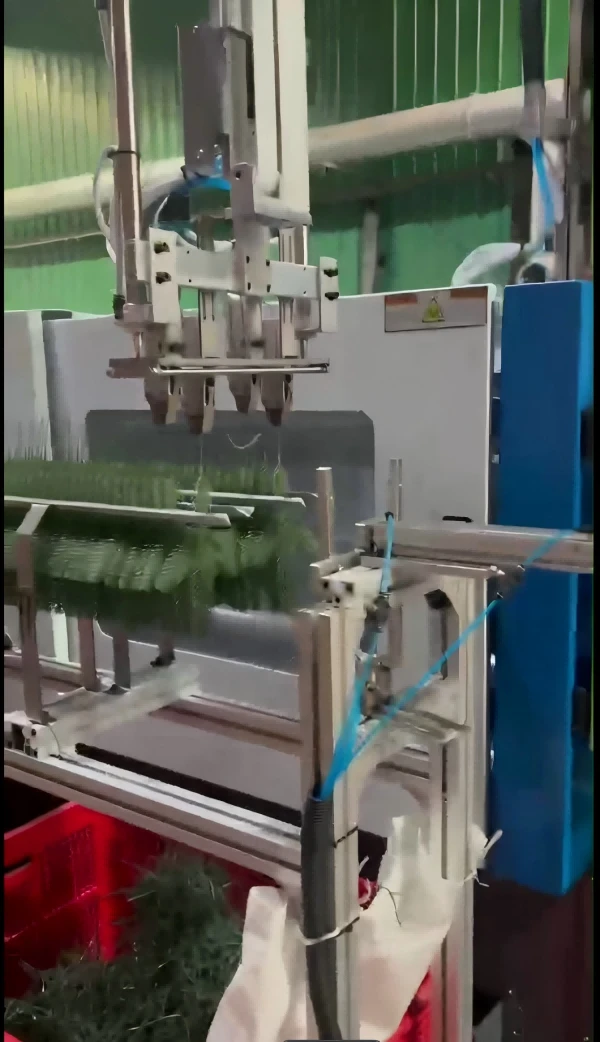 Plastic Plant injection molding machine​ (4)